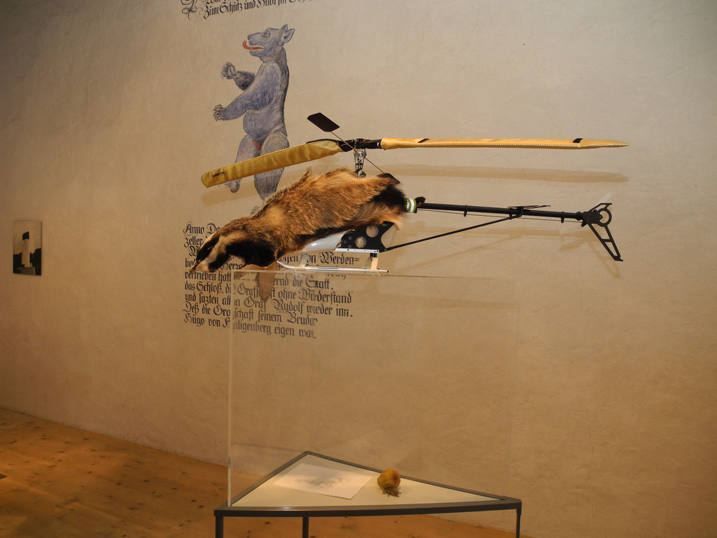 DSCN6906_JPG-1306674732