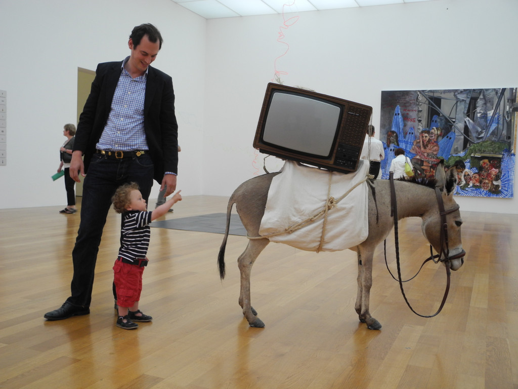 DSCN7365_JPG-1306678218