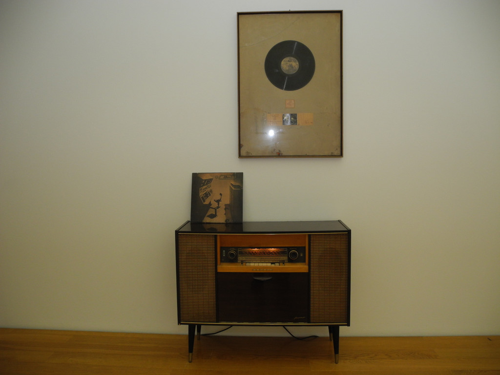 DSCN7375_JPG-1306678429