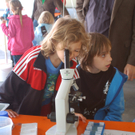 075Ara_Festplatz_jpg-1306679336