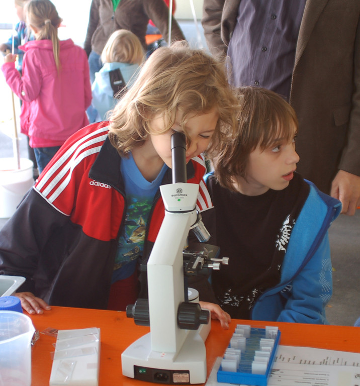 075Ara_Festplatz_jpg-1306679336