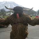 p1.jpg