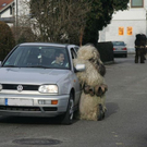 p2.jpg