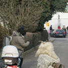 p3.jpg