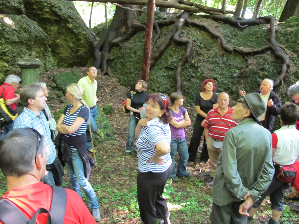 Umwelt Woche Lochau 2011 _5__jpg-1306691042
