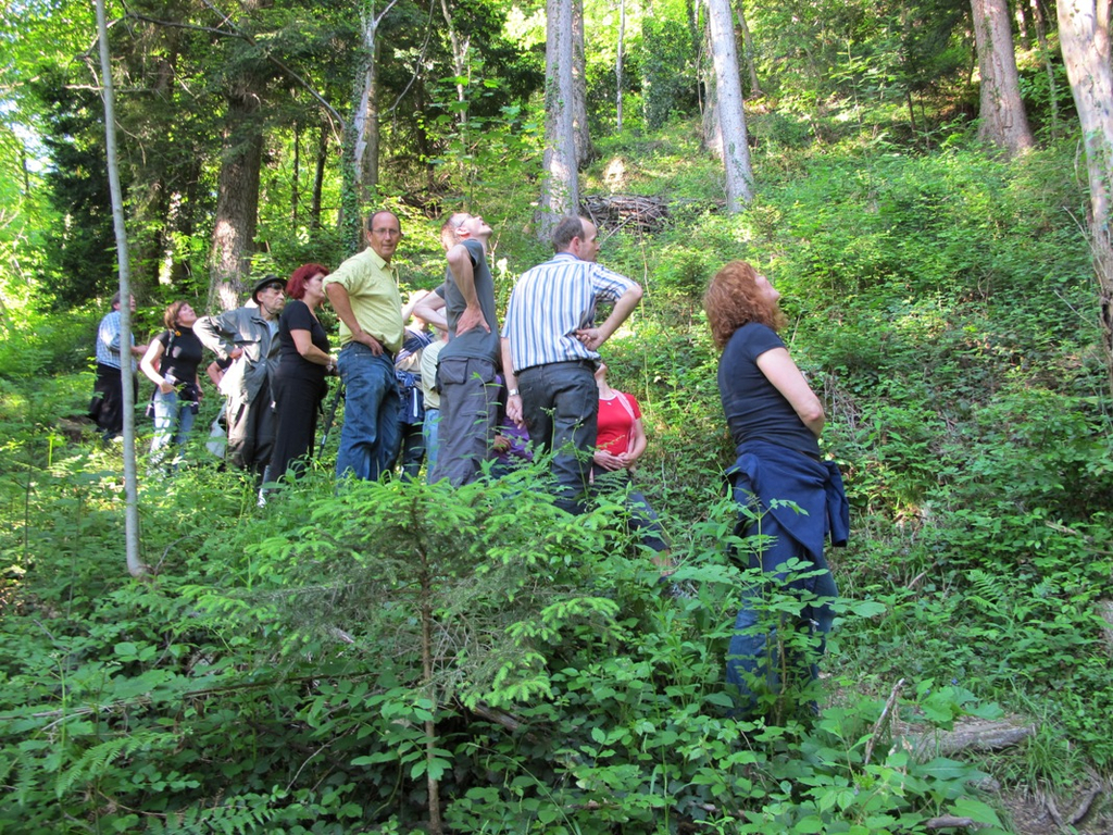Umwelt Woche Lochau 2011 _8__JPG-1306691077