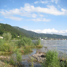 Umwelt Woche Lochau 2011 _31__jpg-1306691401