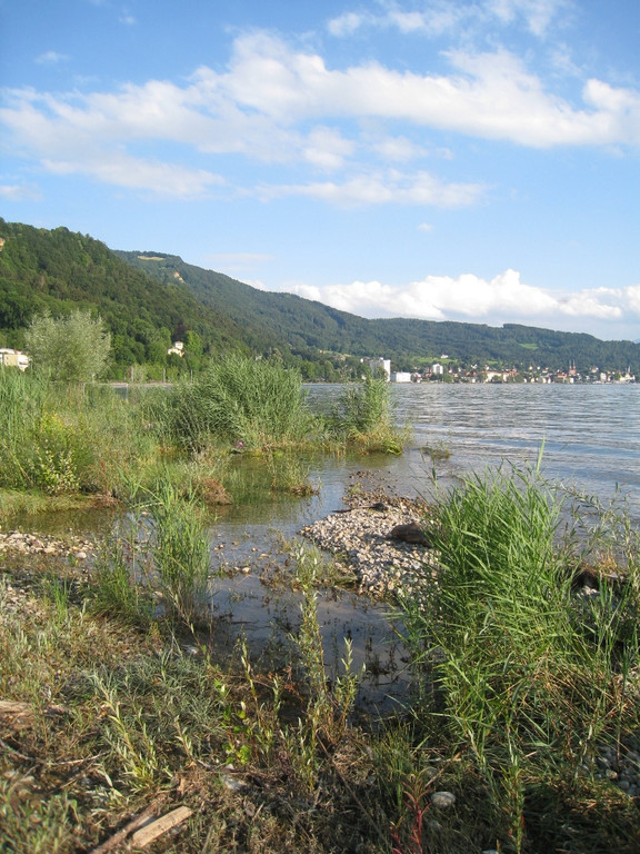 Umwelt Woche Lochau 2011 _31__jpg-1306691401