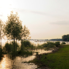 Umwelt Woche Lochau 2011 _28__jpg-1306691345