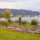 Umwelt Woche Lochau 2011 _29__jpg-1306691366