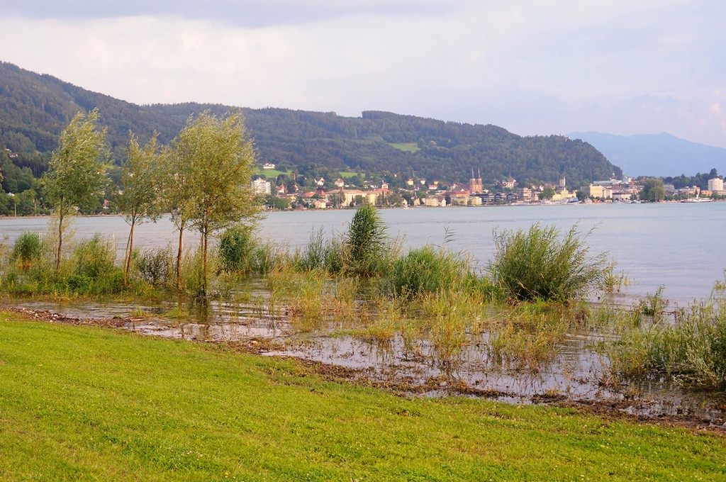Umwelt Woche Lochau 2011 _29__jpg-1306691366
