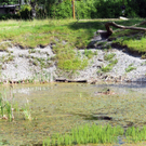 Naturpark Teich_jpg-1306692009