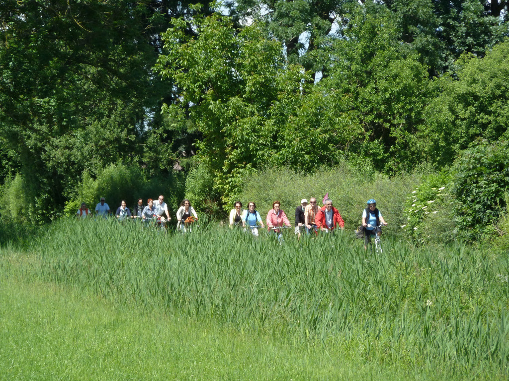L1000753_JPG-1306694365