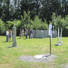 IMG_8353_JPG-1306695745