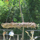 IMG_8352_JPG-1306696766