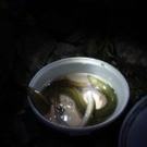 _cid_779411AAFC304ECD91A5B31919445F4A_deciniPCklein.jpg