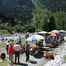 IMG_7295_2_jpg-1306699019