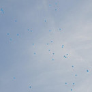 DSC_0896.jpg