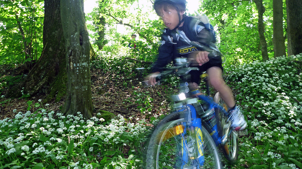Mtb_VSH_01_jpg-1306708958