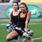 th-00202820.jpg