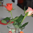 DSC_0210.JPG