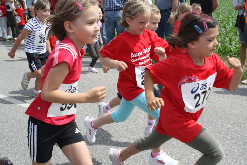 normal_29052011alleelaufmettenheimfaaktivnews_0004.jpg