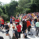 normal_29052011alleelaufmettenheimfaaktivnews_001.jpg