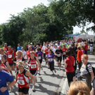 normal_29052011alleelaufmettenheimfaaktivnews_003.jpg