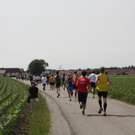 normal_29052011alleelaufmettenheimfaaktivnews_012.jpg