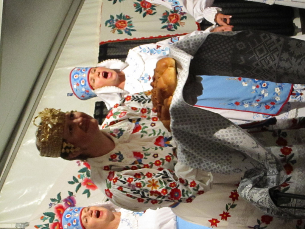 IMG_2881.JPG