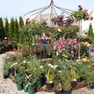 normal_29052011innerfoeffnungfaaktivnews_34.jpg