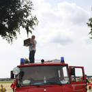 normal_29052011alleelaufbienenfaaktivnews_07.jpg
