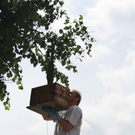normal_29052011alleelaufbienenfaaktivnews_08.jpg