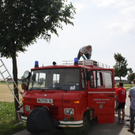 normal_29052011alleelaufbienenfaaktivnews_12.jpg