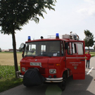 normal_29052011alleelaufbienenfaaktivnews_13.jpg