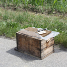 normal_29052011alleelaufbienenfaaktivnews_14.jpg