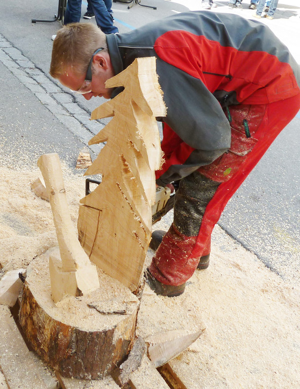 Fest4Saege_jpg-1306767714