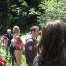 Waldtag 019.jpg