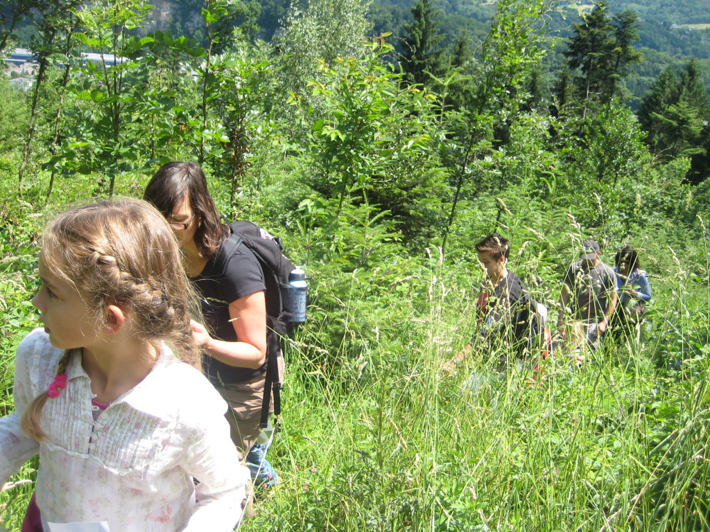 Waldtag 025.jpg