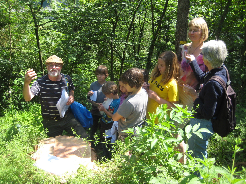 Waldtag 031.jpg