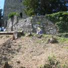 Waldtag 033.jpg
