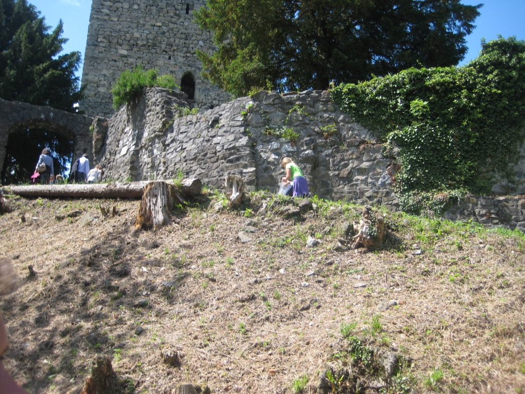 Waldtag 033.jpg