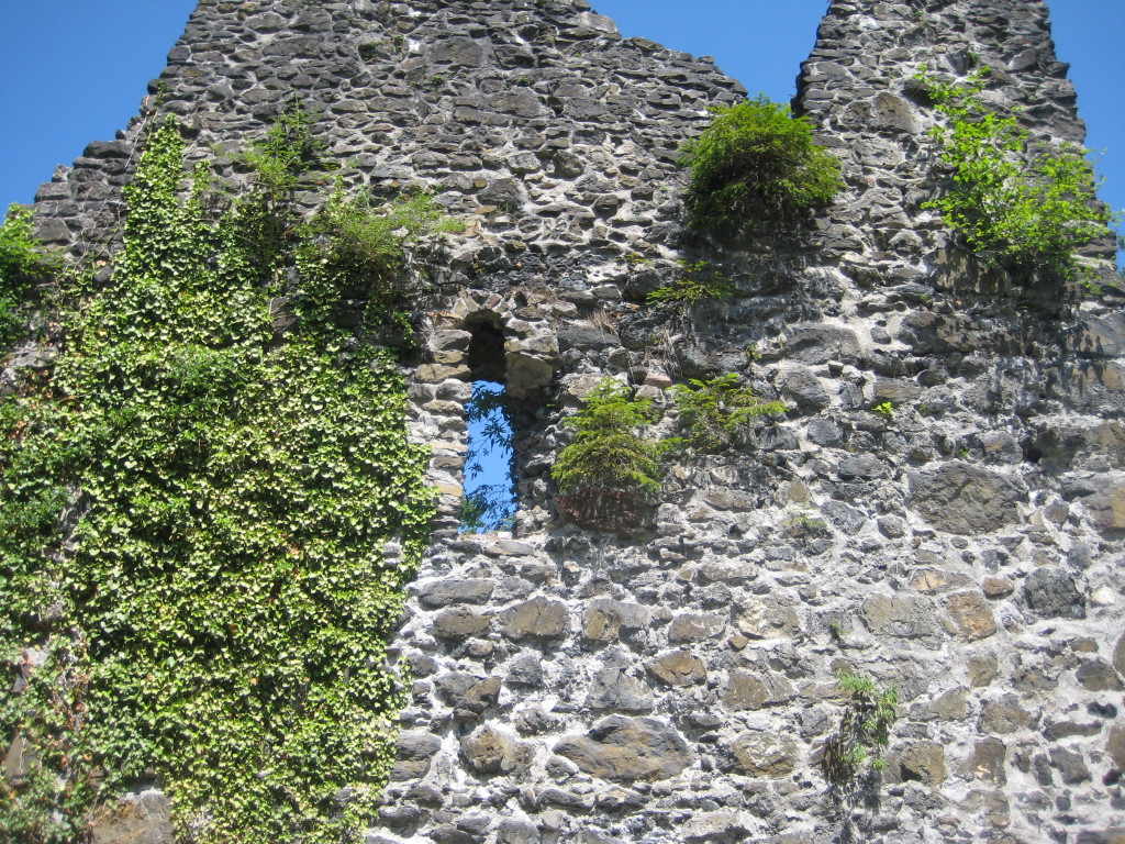 Waldtag 034.jpg