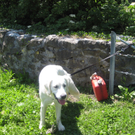 Waldtag 039.jpg