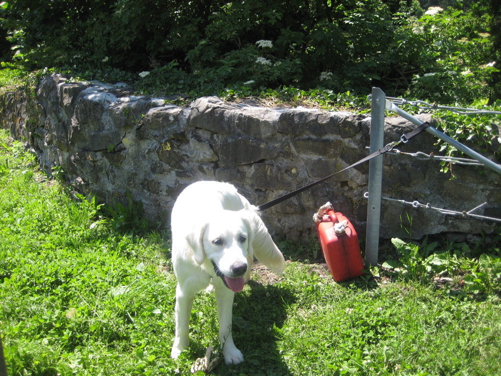 Waldtag 039.jpg