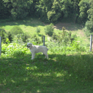 Waldtag 046.jpg