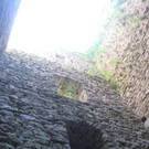 Waldtag 062.jpg