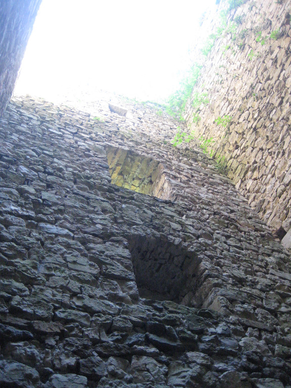 Waldtag 062.jpg
