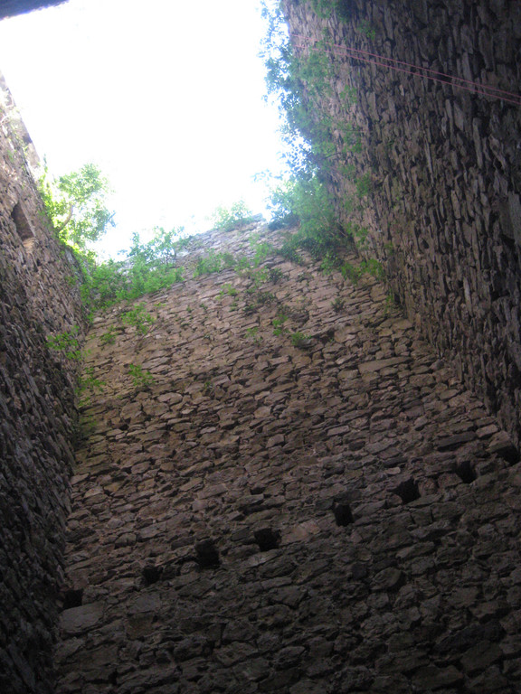 Waldtag 064.jpg