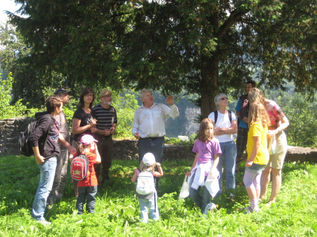 Waldtag 069.jpg